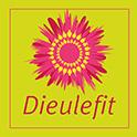 Logo dieulefit